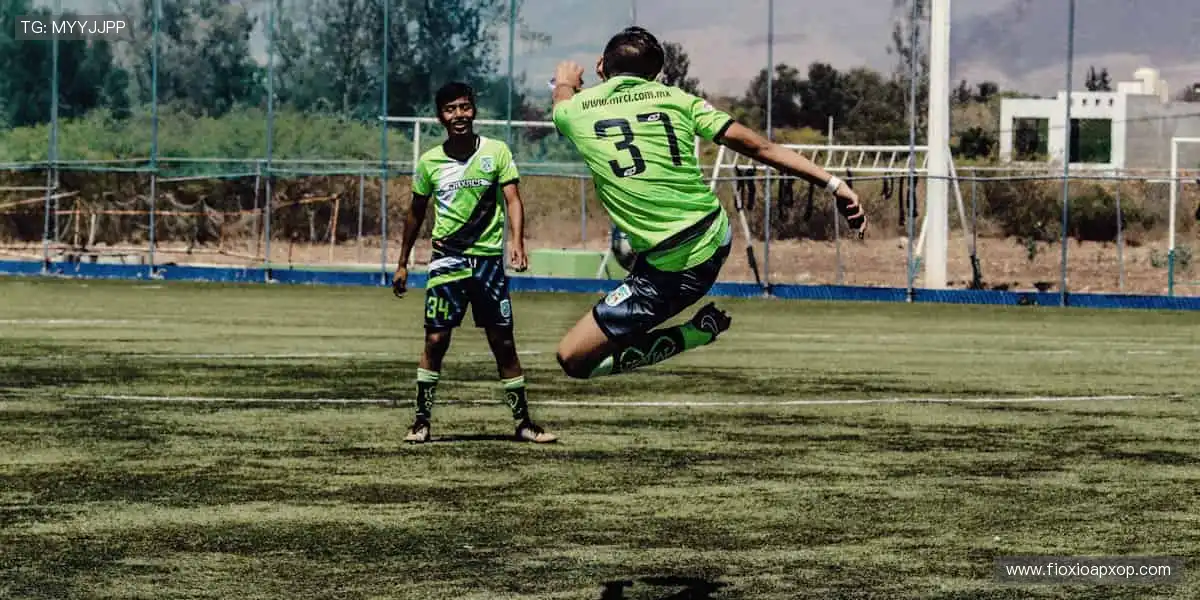 📱【直播平台】超清画质，错过的精彩都在这里回放！